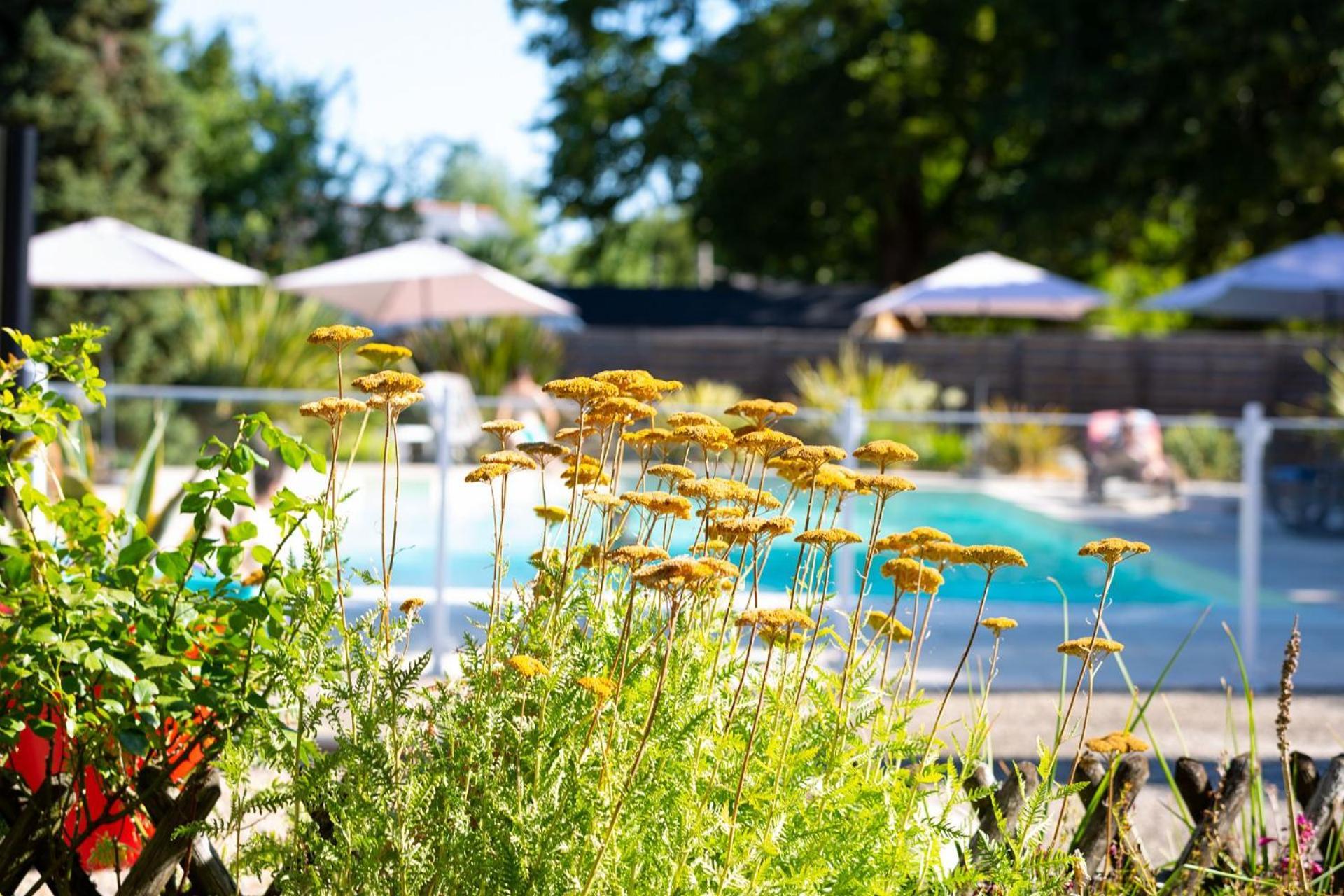 Hotel Mileade Le Domaine De La Blairie - Saumur Saint-Martin-de-la-Place المظهر الخارجي الصورة