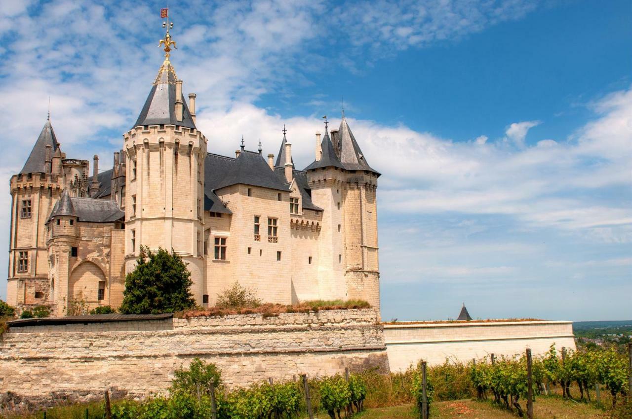 Hotel Mileade Le Domaine De La Blairie - Saumur Saint-Martin-de-la-Place المظهر الخارجي الصورة